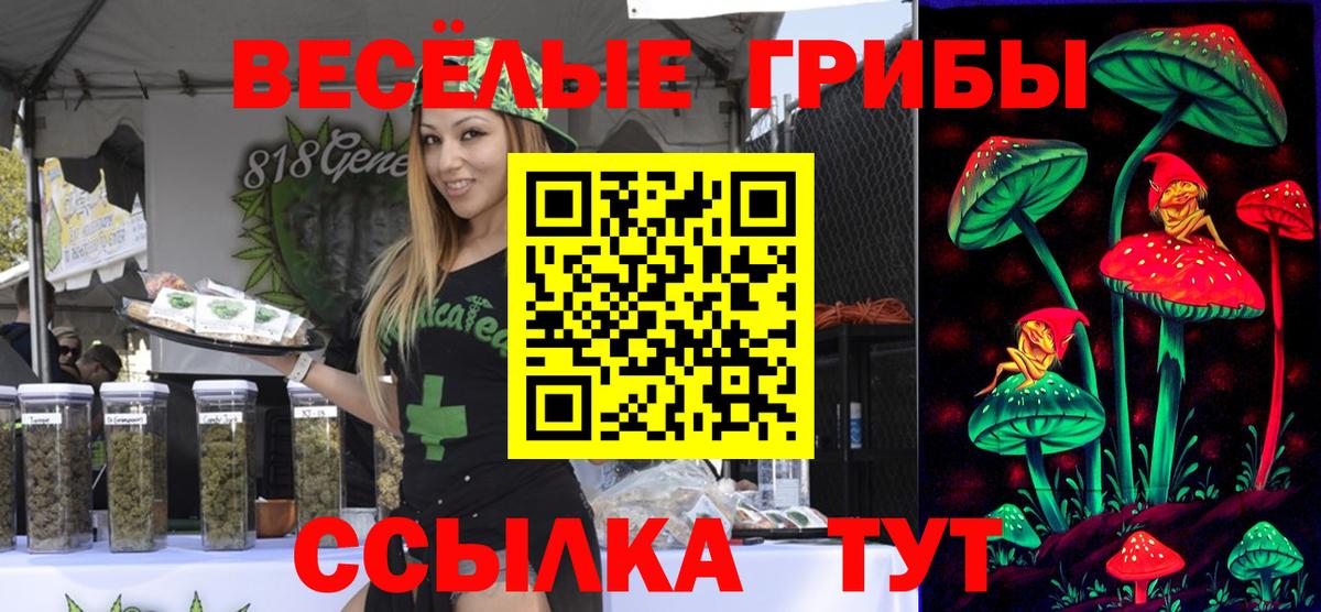 Коркино  Псилоцибиновые грибы Cubensis  Вход с VPN 